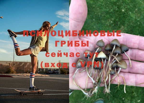 ALPHA PVP Богданович