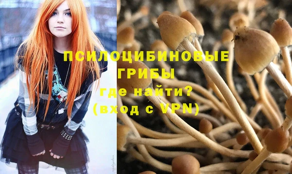 ALPHA PVP Богданович