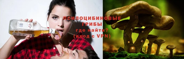 ALPHA PVP Богданович
