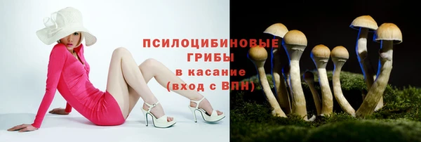ALPHA PVP Богданович