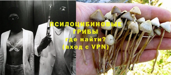 амф Балахна