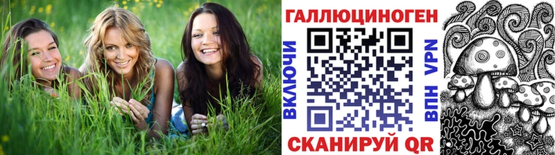 Галлюциногенные грибы MAGIC MUSHROOMS  как найти   Гаврилов-Ям 